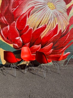 Red Eames Eiffel Chairs in Molded Plastic
