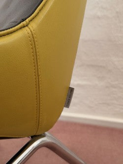 MY Chair Walter Knoll Chair